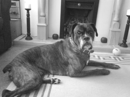 Charlie Boy